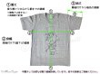 くるみ割り人形 Tシャツ ★★ くるみを割る人形 tee ＜M-C＊original＞ サイズ 採寸